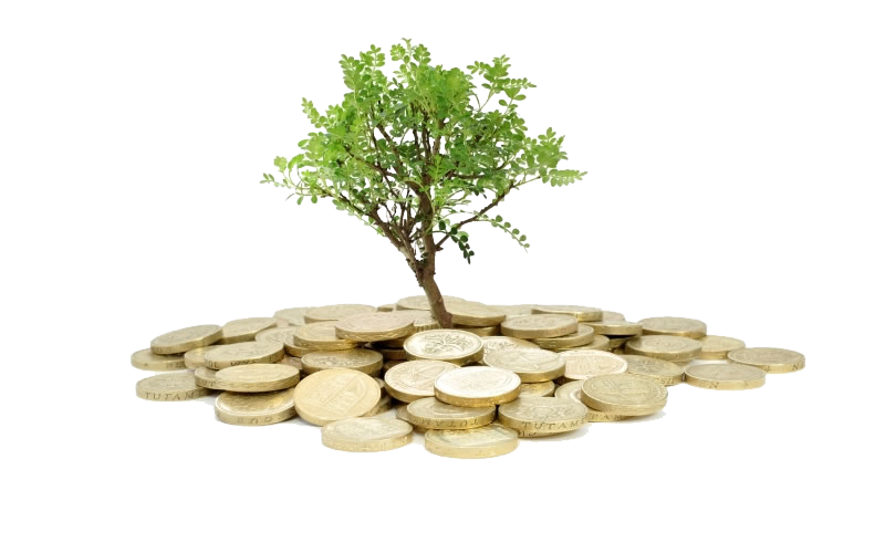 finanzplanung