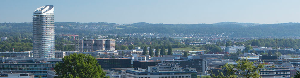steuererklärung dübendorf